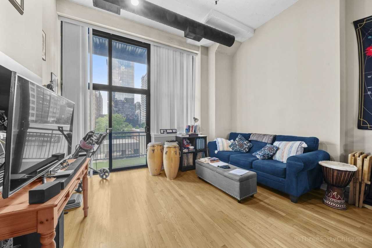 547 S Clark St #305 - Photo 2 of 11