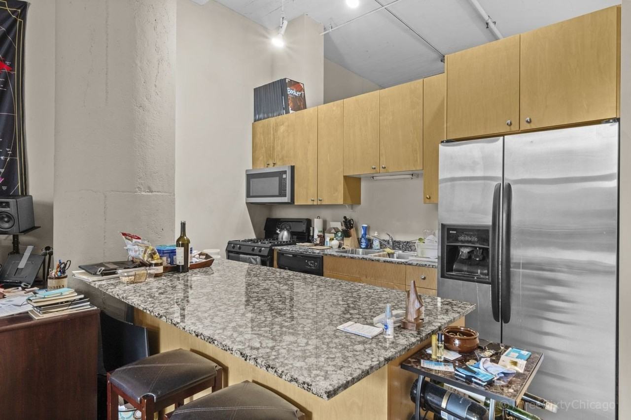 547 S Clark St #305 - Photo 6 of 11