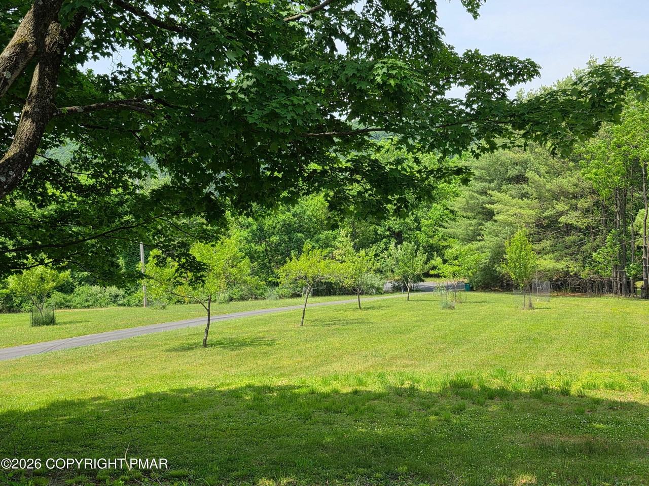 113 Tyler Dr - Photo 3 of 15