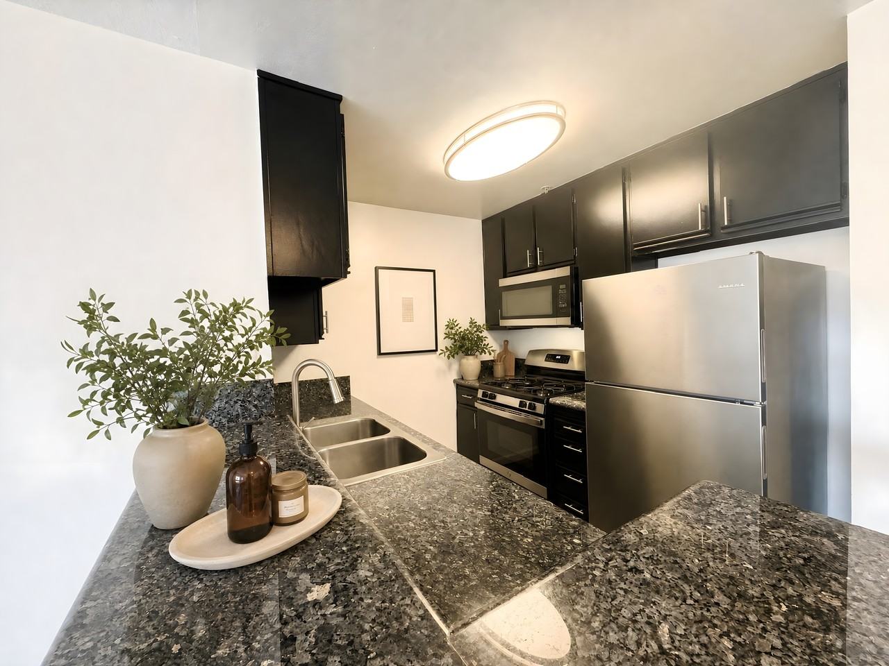 11041 Hesby Street #208 - Photo 6 of 20