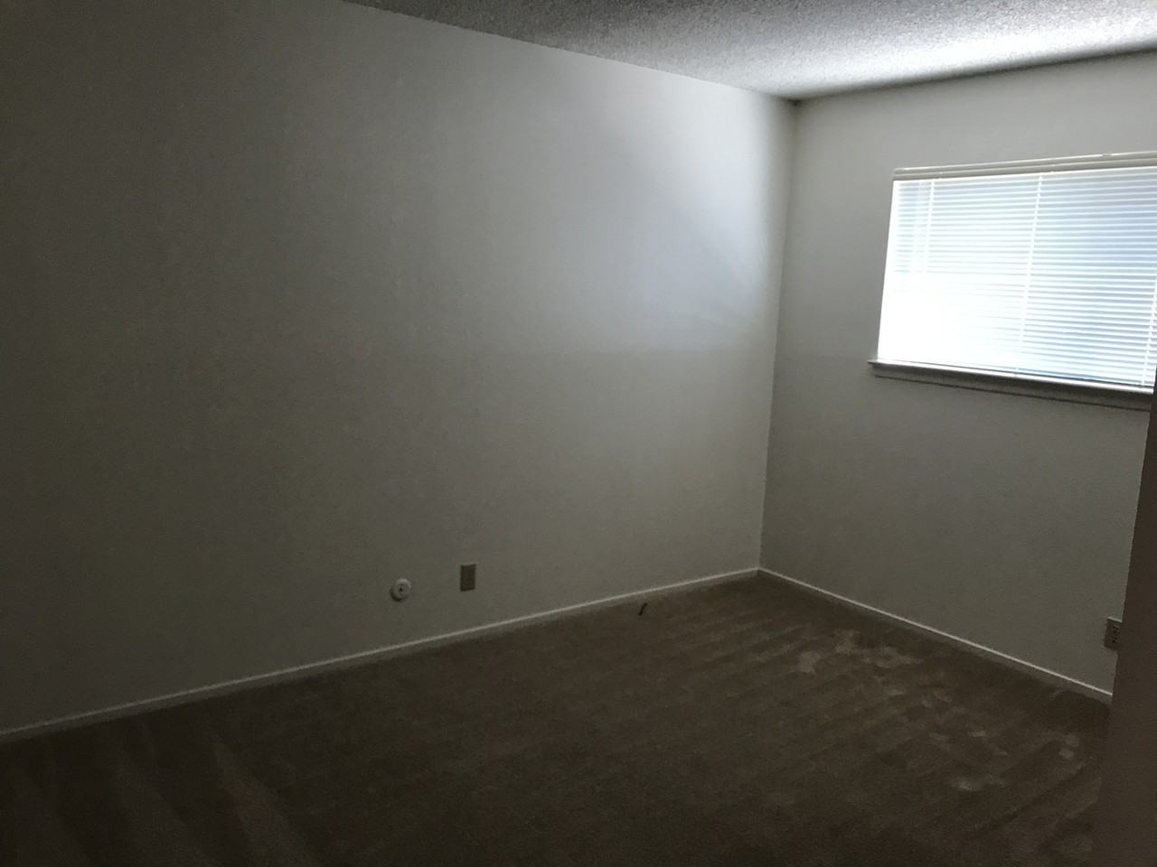 8417 Edgefield Way - Photo 3 of 15