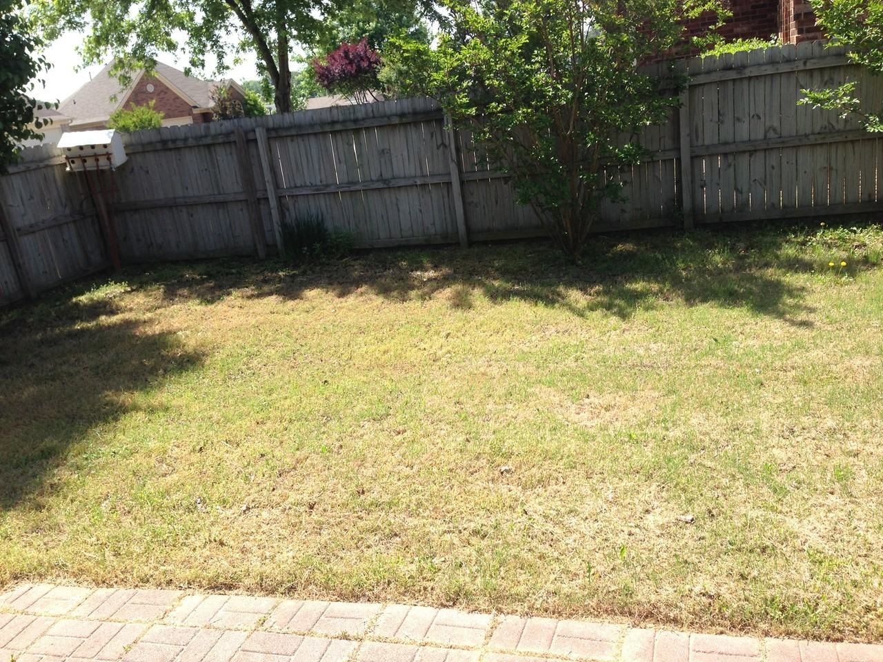 1098 Breezy Valley Dr - Photo 2 of 12