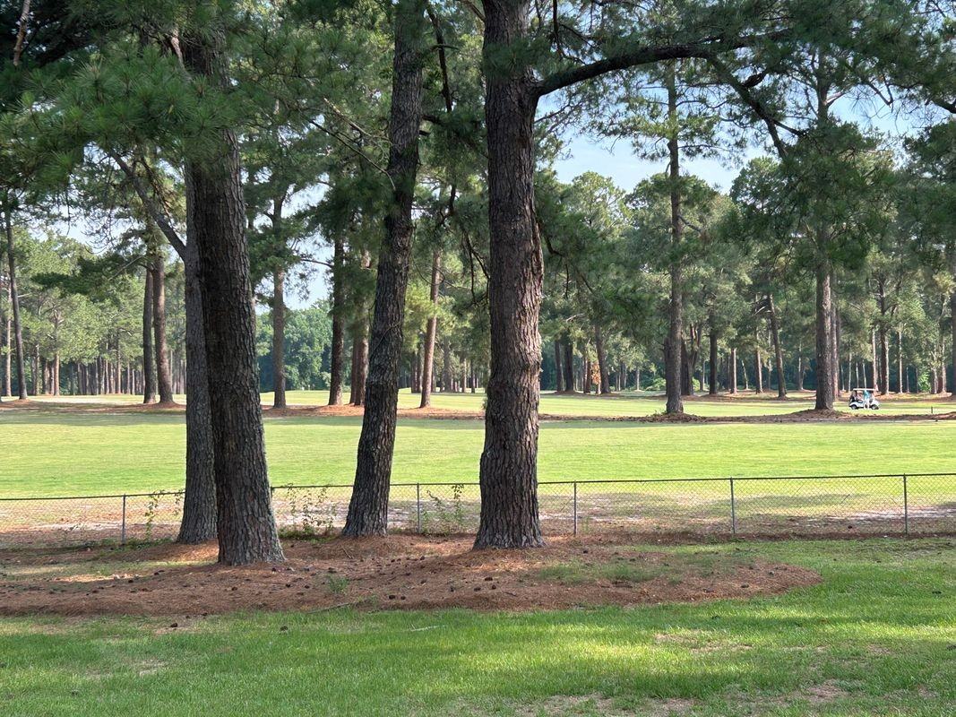 358 Country Club Rd - Photo 4 of 19