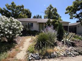 featured image of 3561 David Way