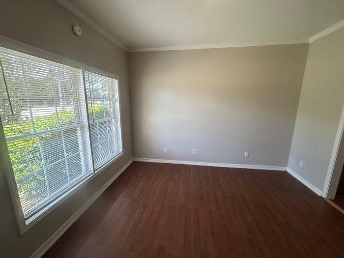 2428 Watson St #A - Photo 4 of 38