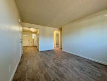 1363 - Photo 1 of 1