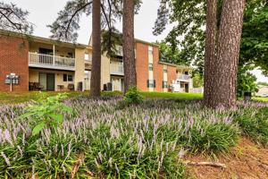 featured image of 5302 Lane Place Dr