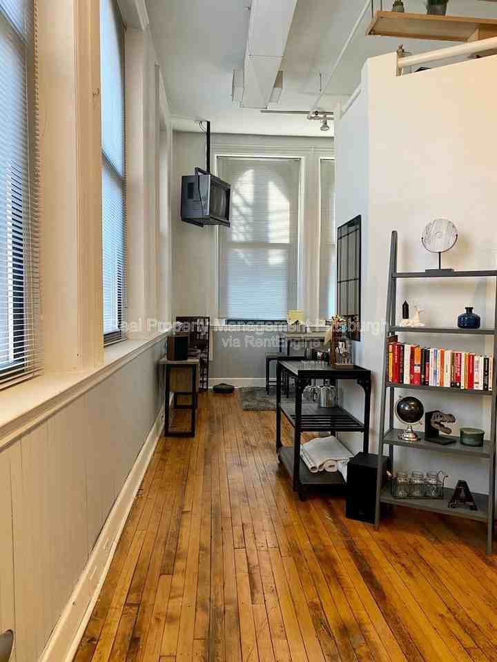 171 S 15th St #202 - Photo 6 of 16
