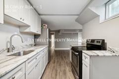 38 Copley Rd #1 - Photo 1 of 1