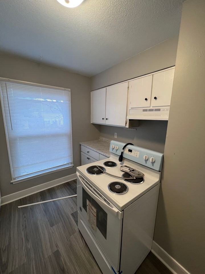1255 Alexandria Dr - Photo 3 of 8