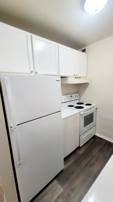 1247 Nelson St #B - Photo 4 of 9