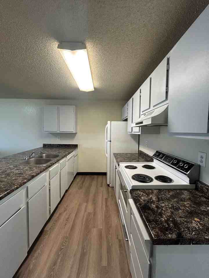 2156 Marigold St - Photo 7 of 20