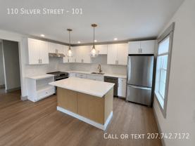 110 Silver St #101 - Photo 1 of 1