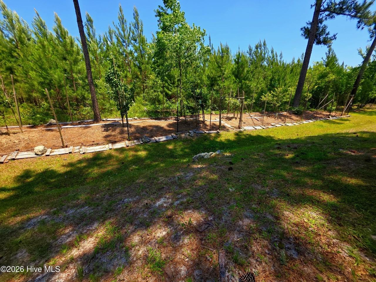 200 Sweet Gum Ln - Photo 6 of 31