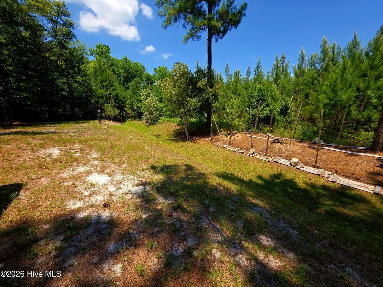 200 Sweet Gum Ln - Photo 7 of 31