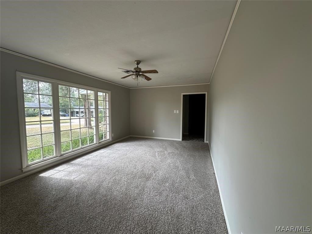 811 Shadow Ln - Photo 3 of 4