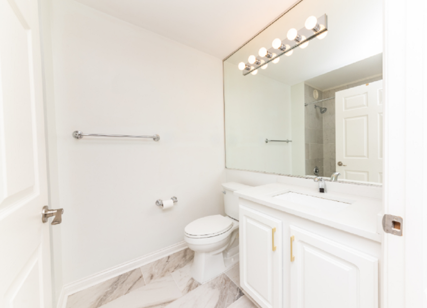 345 N La Salle Dr - Photo 4 of 10