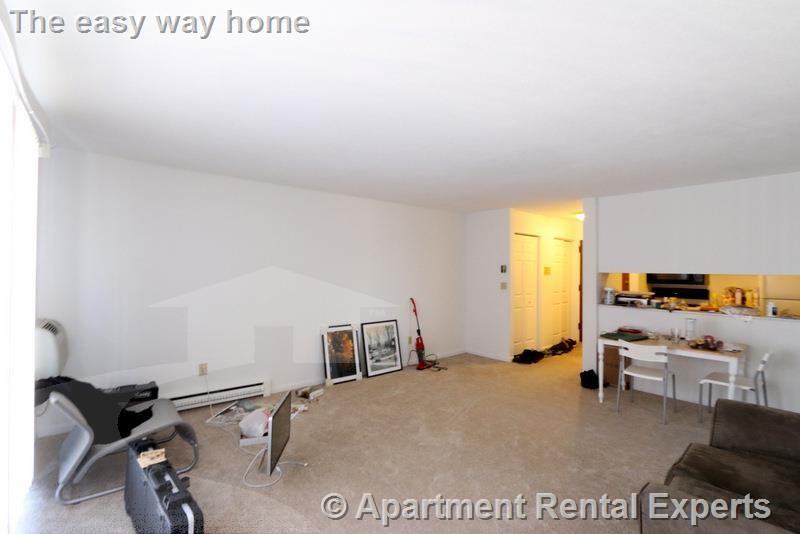 41 Belmont St #31 - Photo 5 of 19