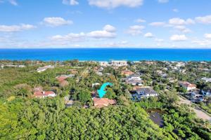 featured image of 43 Coconut Ln