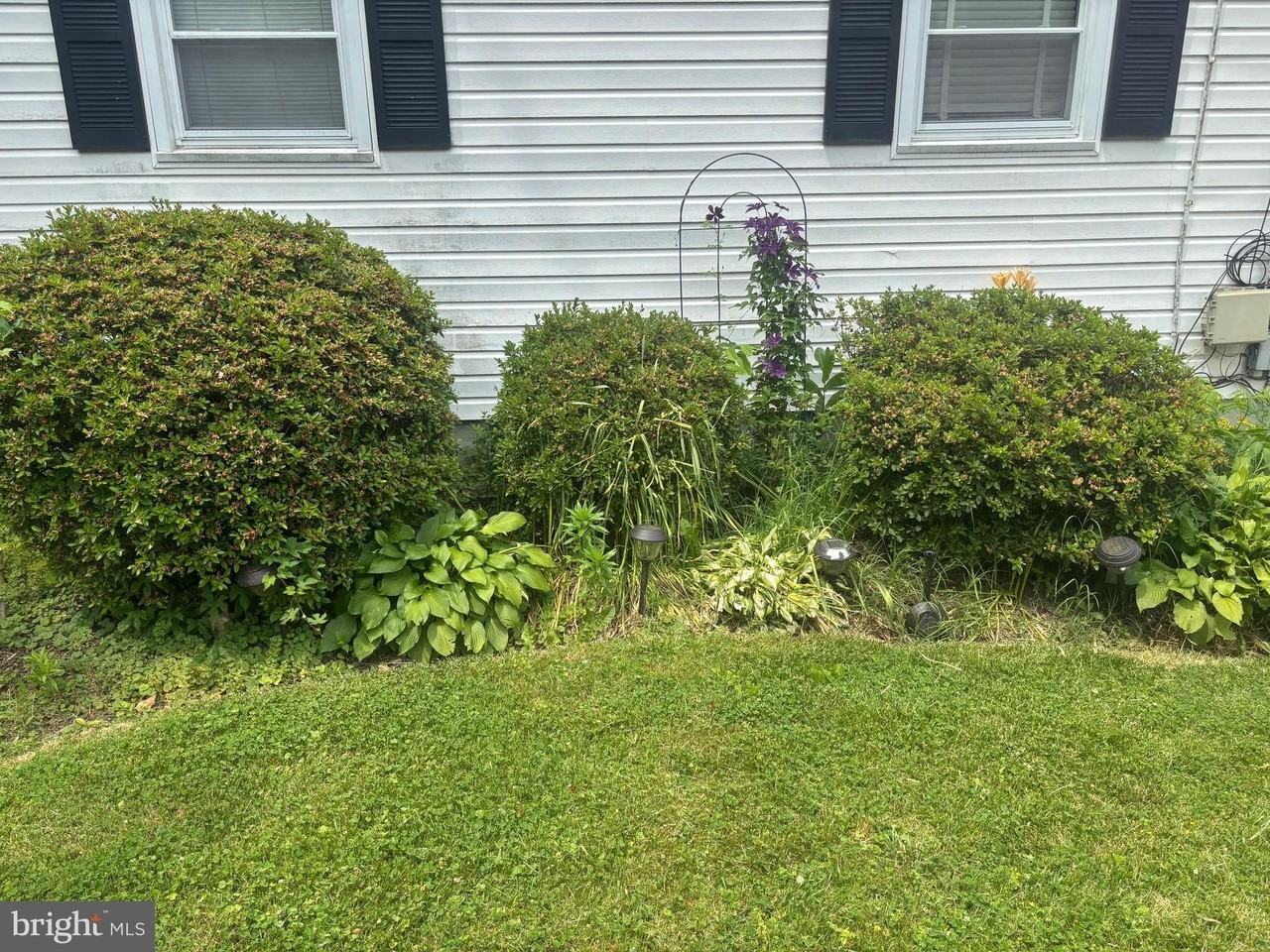 311 Harlem Ln - Photo 4 of 45
