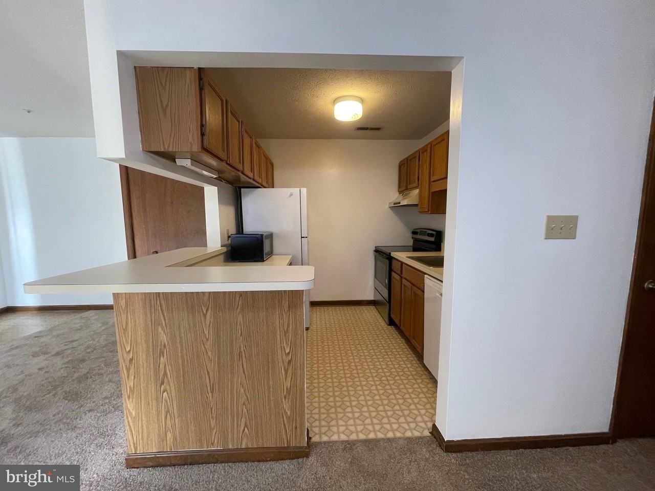 44790-UNIT 840 LOCUST RIDGE Court #4B - Photo 3 of 8