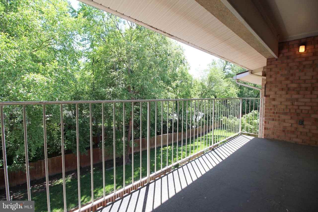 2833 Kalmia Lee Ct #302 - Photo 3 of 21