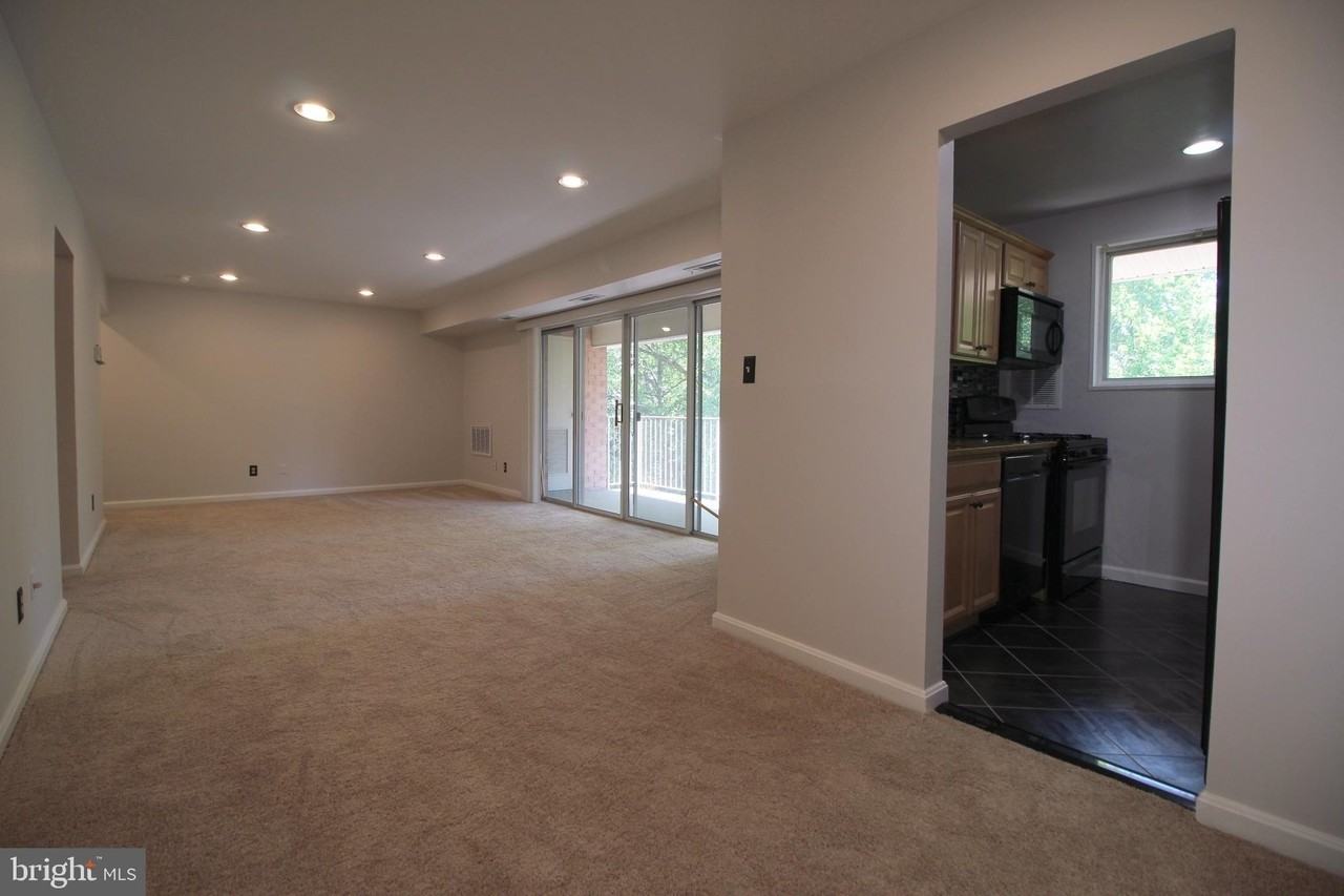 2833 Kalmia Lee Ct #302 - Photo 4 of 21