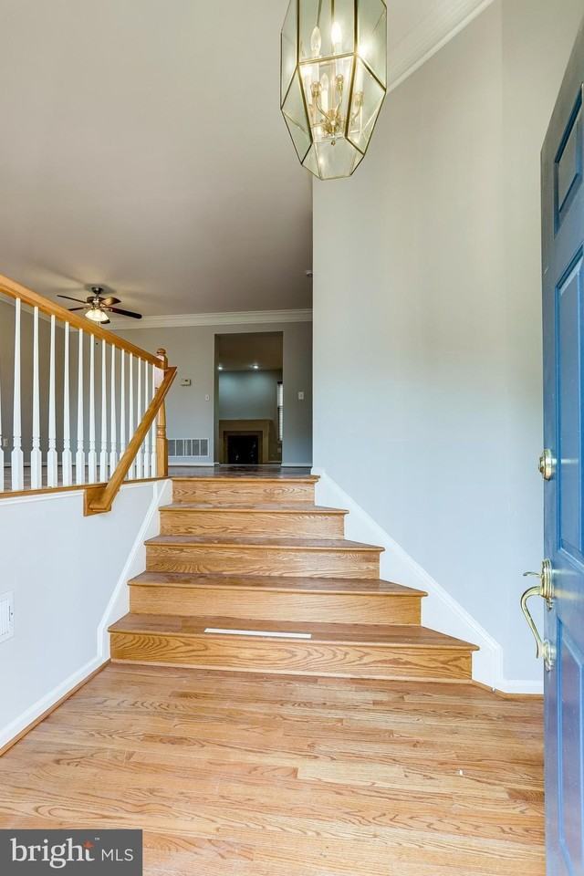 43709 Clemens Ter - Photo 4 of 44