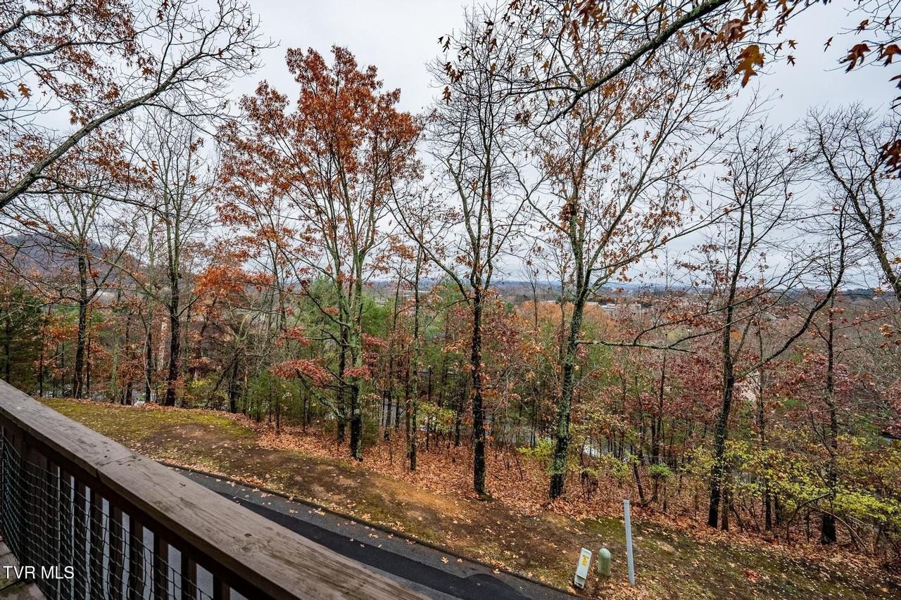 313 Autumn Chase Dr - Photo 2 of 50