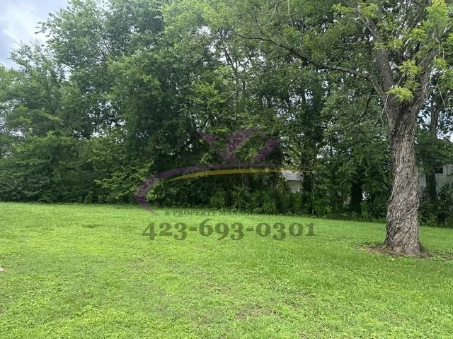 8001 Hale Rd - Photo 3 of 24
