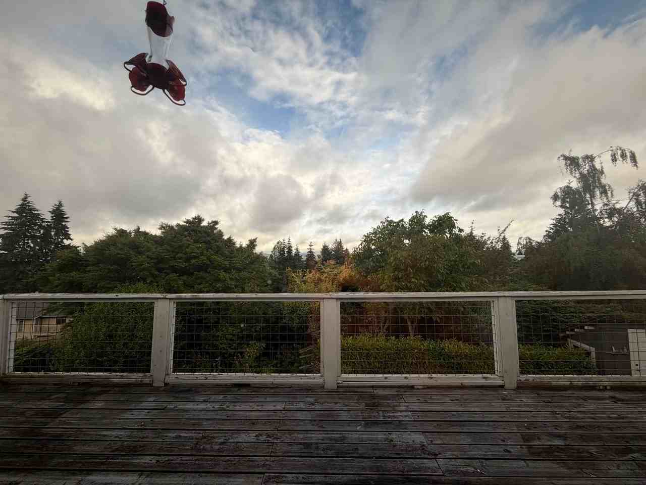 2729 Ash St - Photo 6 of 8