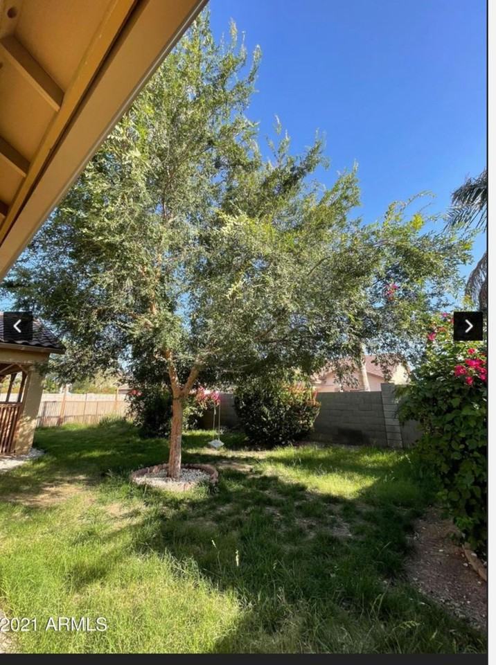 16453 W Yucatan Dr - Photo 5 of 6