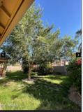 16453 W Yucatan Dr - Photo 1 of 1