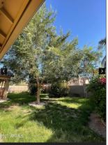 16453 W Yucatan Dr - Photo 1 of 1