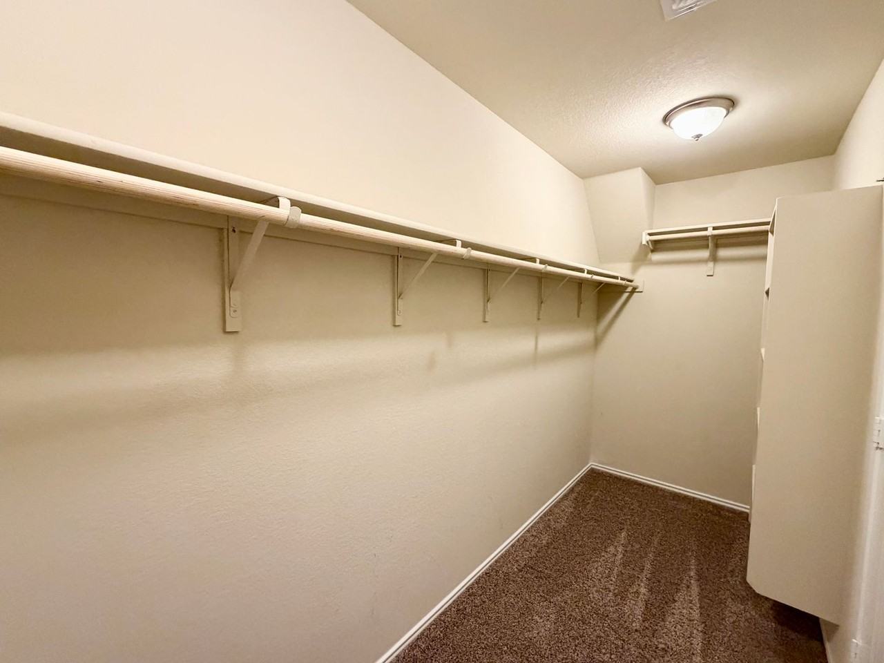 829 Ibis Falls Loop - Photo 5 of 18