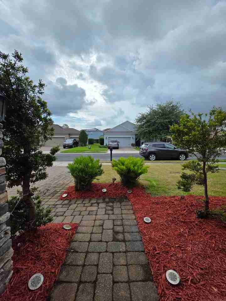 305 Drayton Ave - Photo 4 of 42