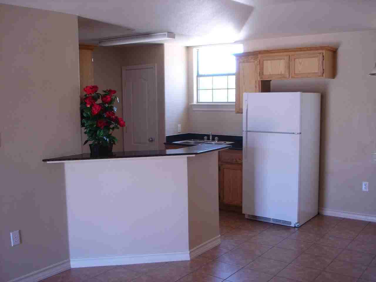 3001 Corpus Christi St - Photo 4 of 13