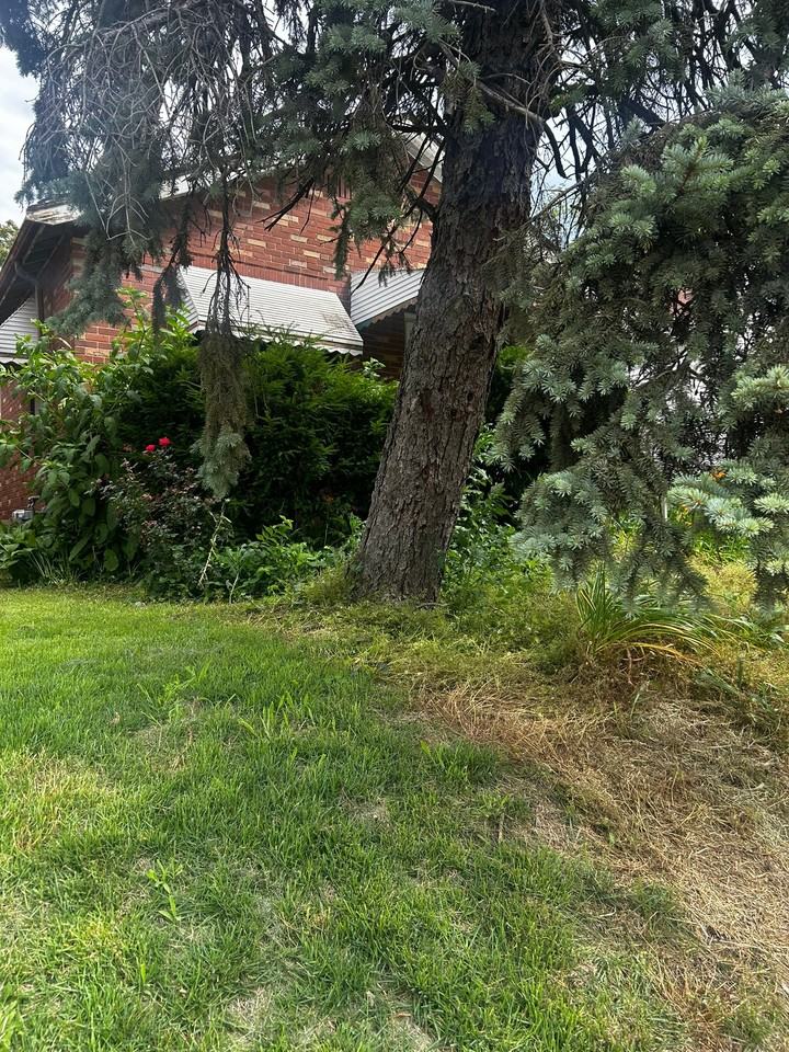 4719 Plover Ave - Photo 3 of 19