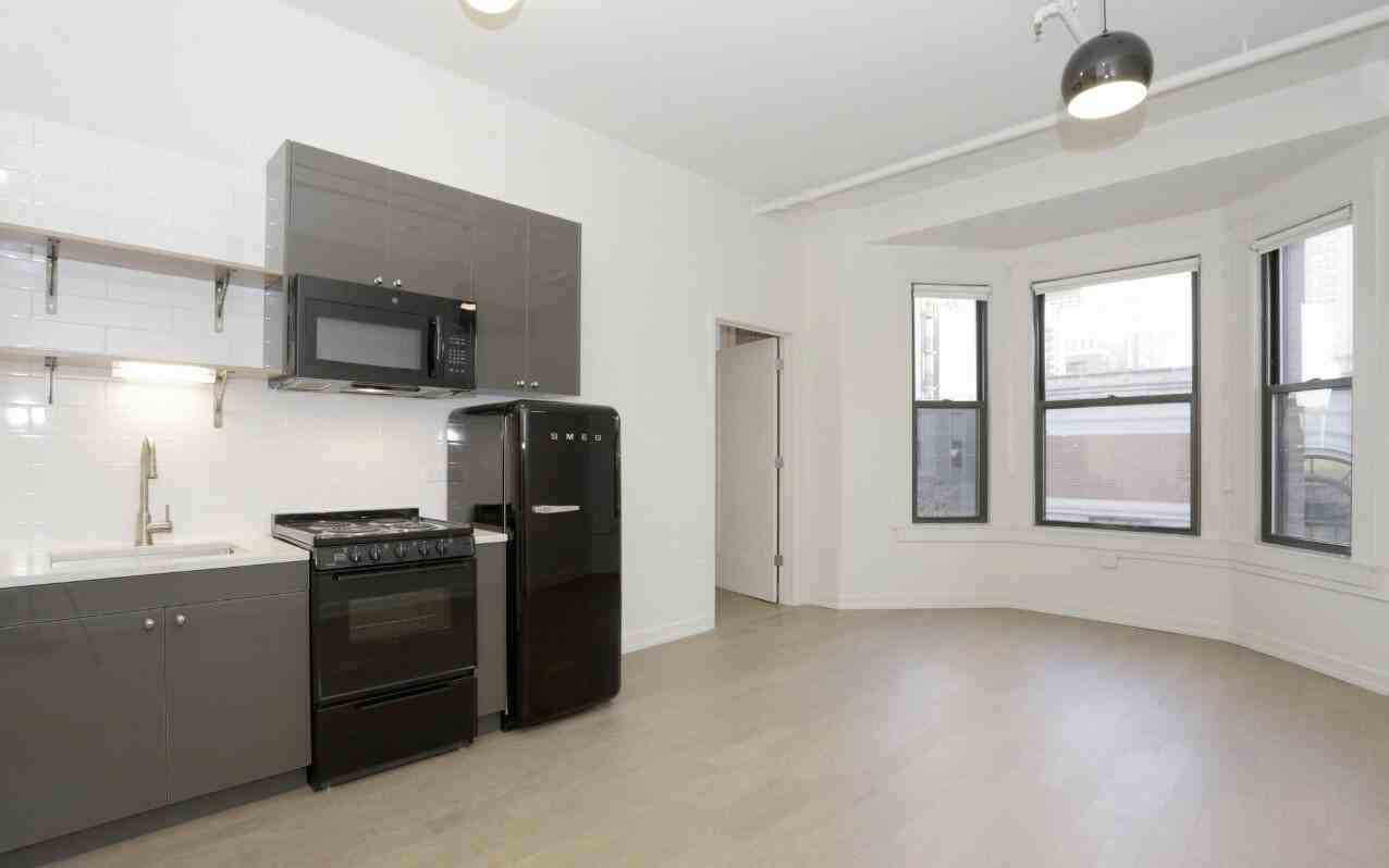 67 W Chicago Ave #205 - Photo 6 of 20