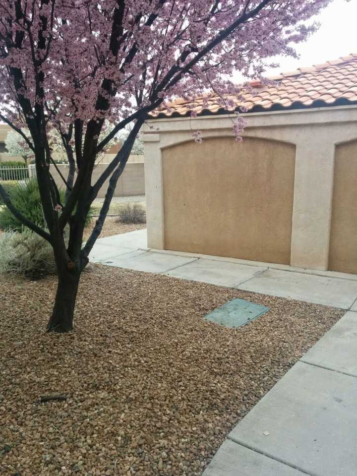 6800 Vista Del Norte Dr Ne #1816 - Photo 3 of 20