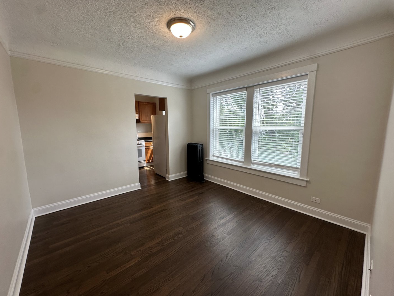 1373 W Greenleaf Ave #1S - Photo 3 of 16