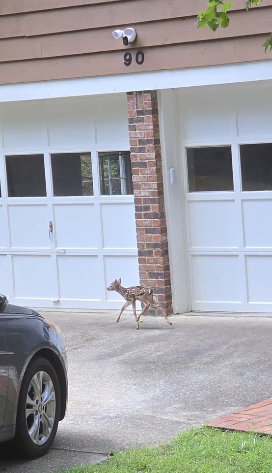90 Martin Point Ct #NA - Photo 3 of 36