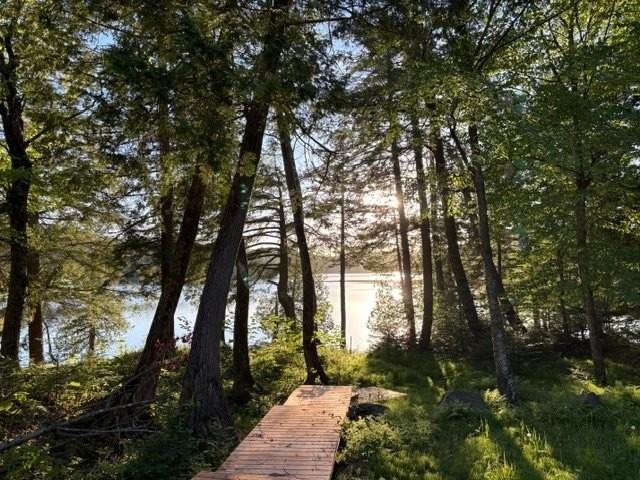 8340 Rive Du Lac-Tremblant - Photo 3 of 9