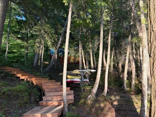 8340 Rive Du Lac-Tremblant - Photo 4 of 9