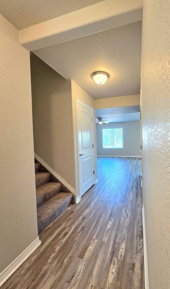 12729 Windingwalk Dr - Photo 3 of 32