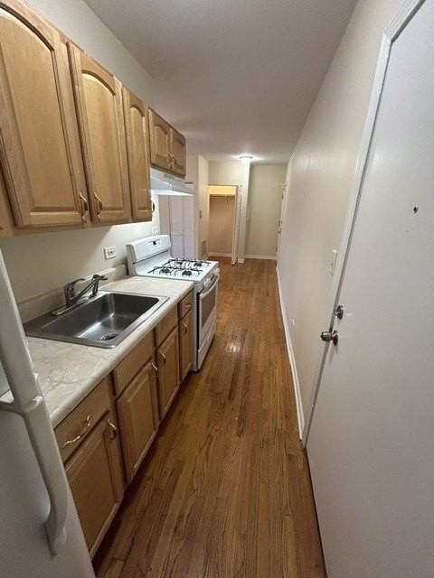 4427 N Lawndale Ave #3B - Photo 4 of 13