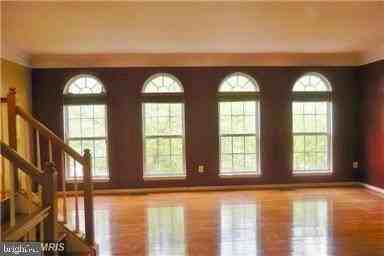 13599 Flying Squirrel Dr - Photo 3 of 12
