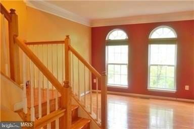 13599 Flying Squirrel Dr - Photo 4 of 12