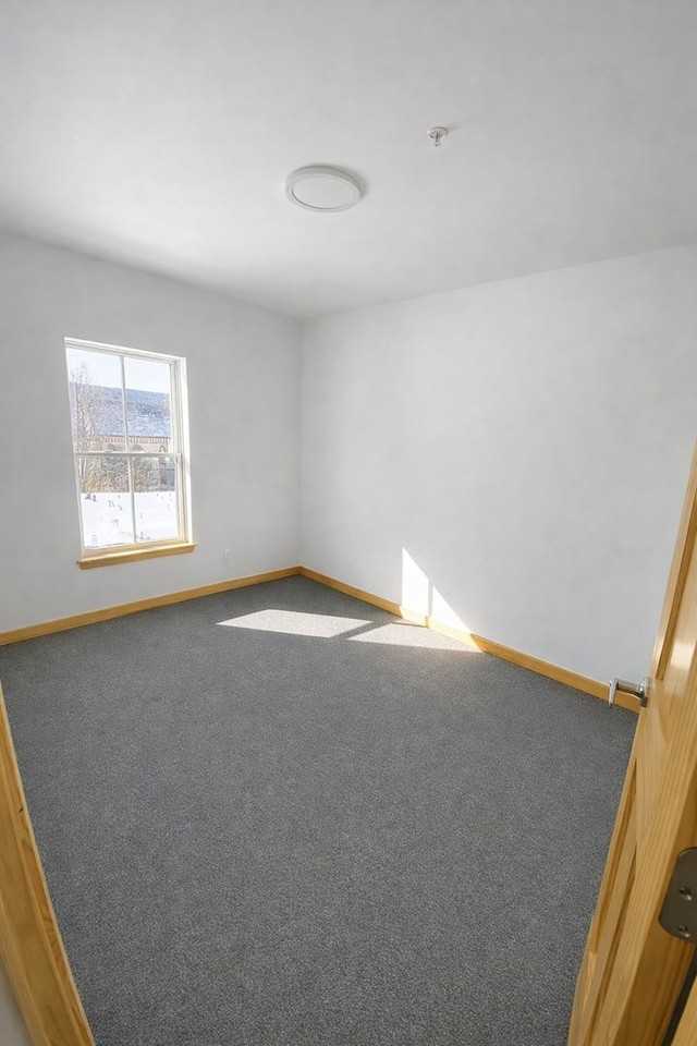 74 Jolina Ct #207 - Photo 5 of 21