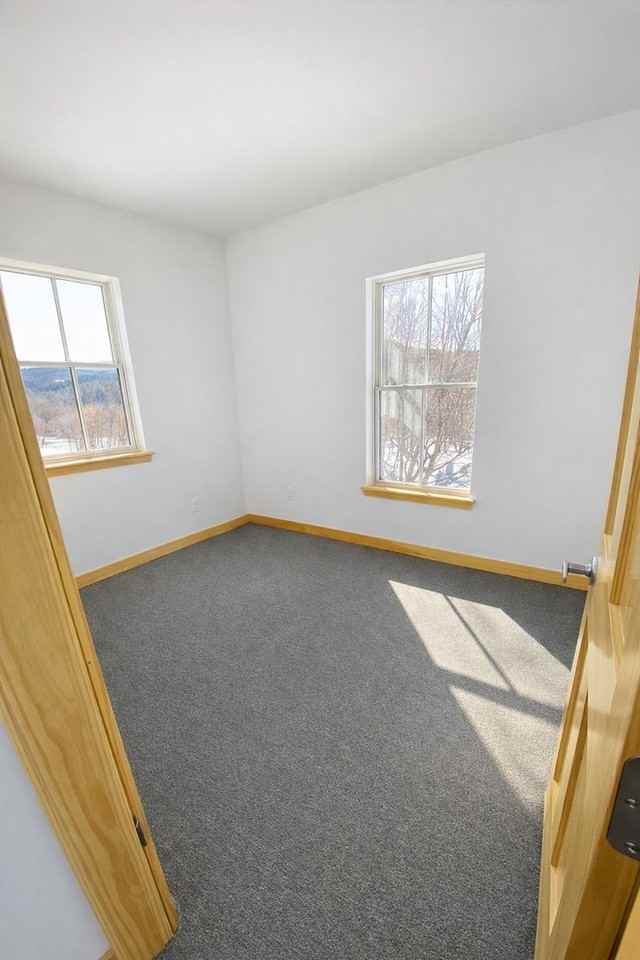 74 Jolina Ct #207 - Photo 6 of 21